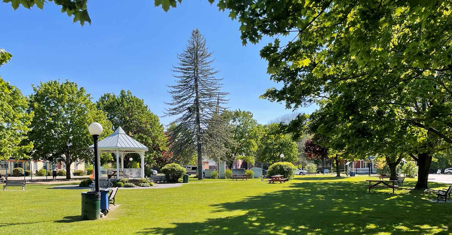 A park in Waterbury, VT with benches and a tall tree