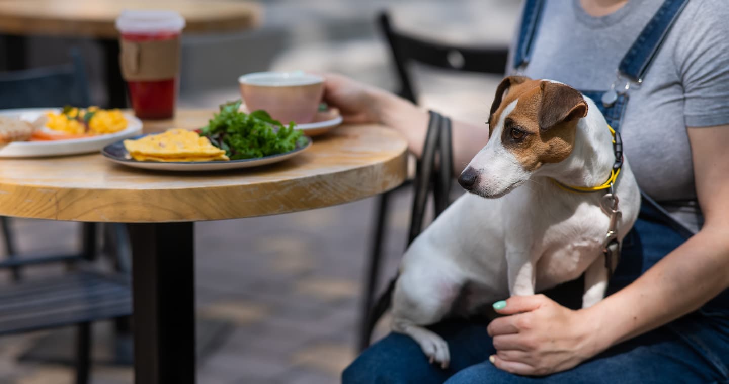 A woman sitting with her dog on her lap at one of the pet-friendly restaurants in Waterbury, VT