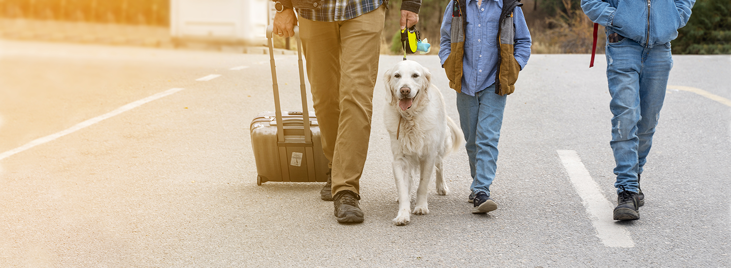 Dog friendly hotel, Waterbury, VT