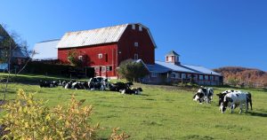 One of many Vermont Farms near our Vermont bed and breakfast