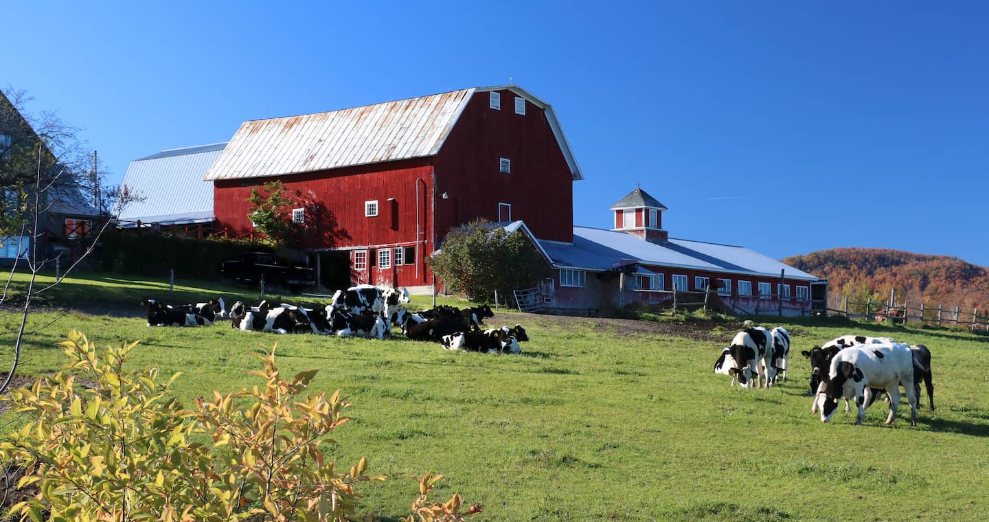 One of many Vermont Farms near our Vermont bed and breakfast