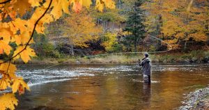 A fly fisherman casting a line in Waterbury, VT