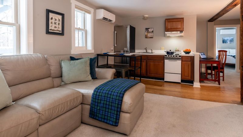 Leather Couch in the living room with kitchenette in the background